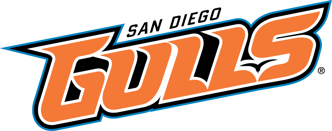 San Diego Gulls 2015-Pres Wordmark Logo iron on heat transfer